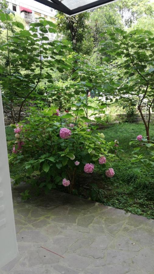 Apartmán Vracar Krunska Jamiva Bělehrad Exteriér fotografie